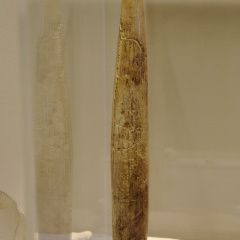 Ivory Wand or Penis Sheath