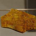 Fragment of an Ivory Label