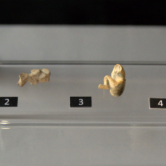 Ivory Figurines Found in Naqada Royal Tomb