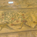 Flooring from Amarna