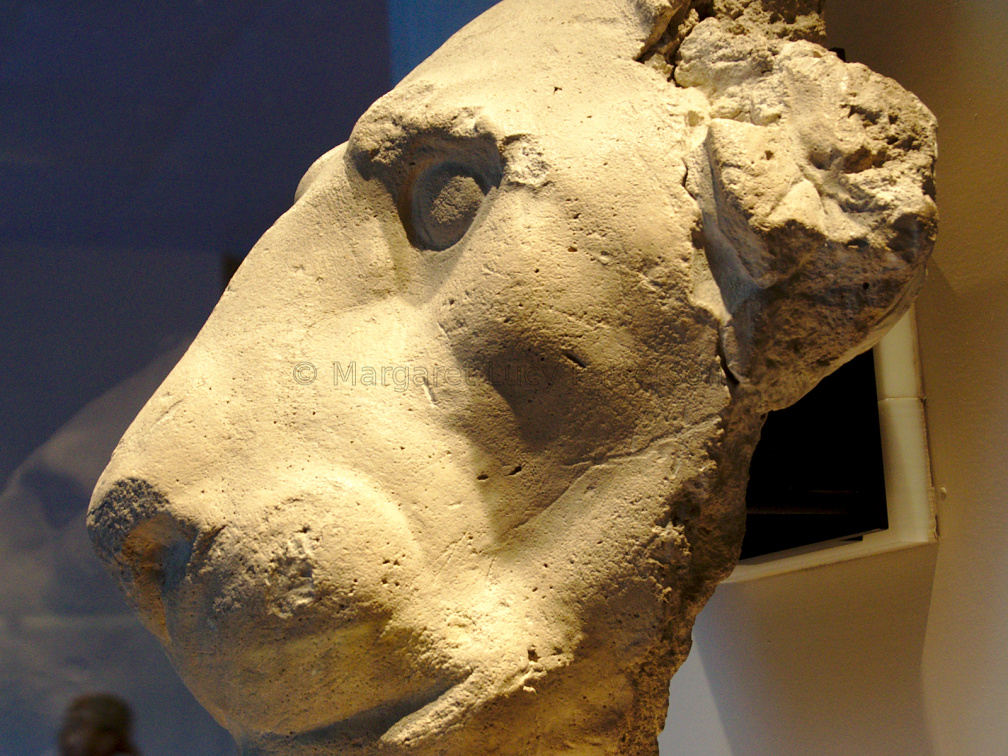 Model of a Lion's Head