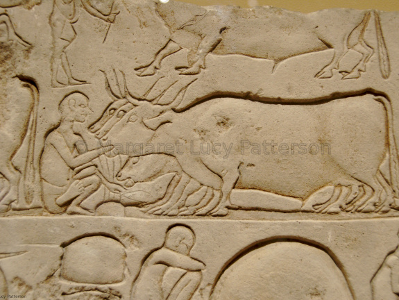 Tomb Relief Showing the Force Feeding of Cattle