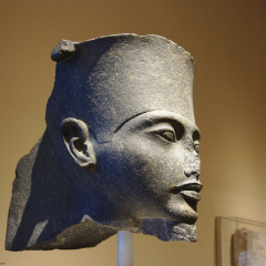 Head of a Colossal Statue of the God Amun