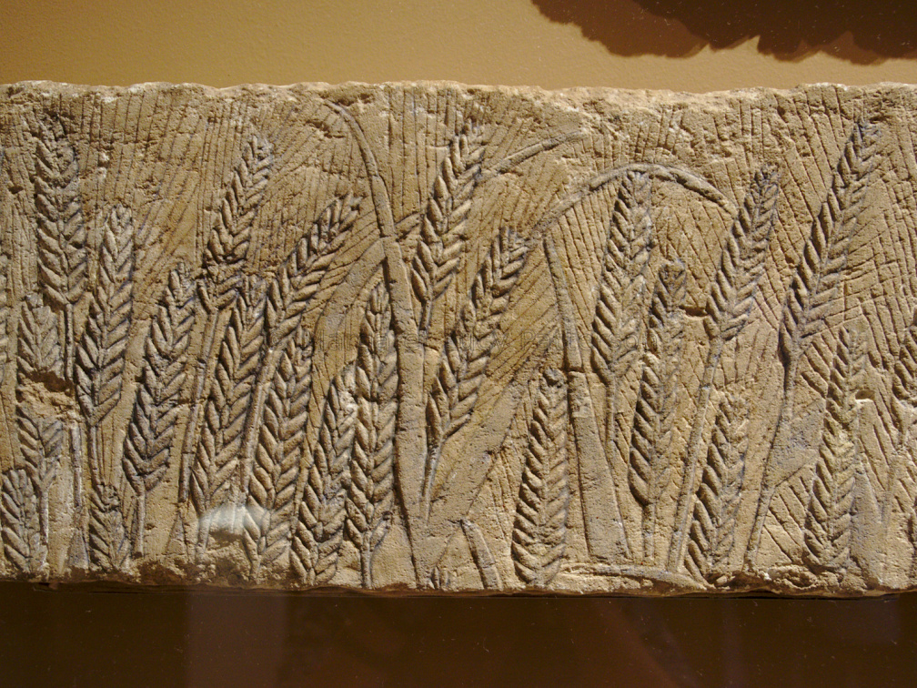 Relief Fragment Depicting Grain