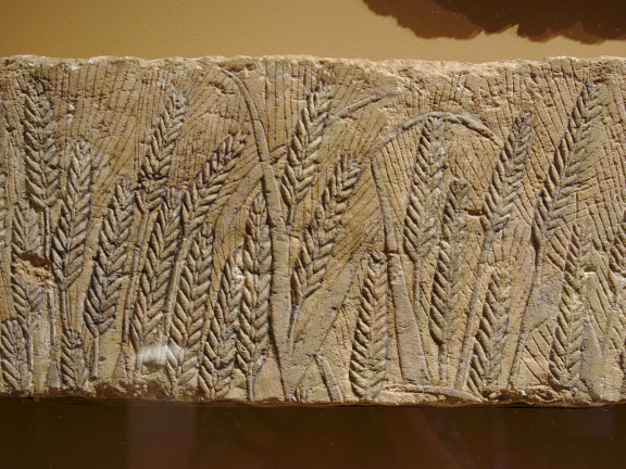Relief Fragment Depicting Grain