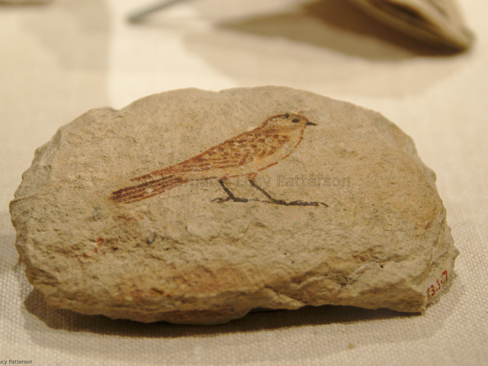 Ostracon with Sketch of a Sparrow