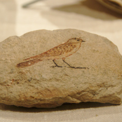 Ostracon with Sketch of a Sparrow