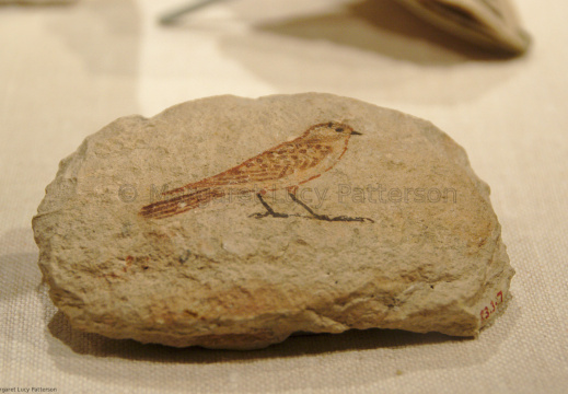 Ostracon with Sketch of a Sparrow