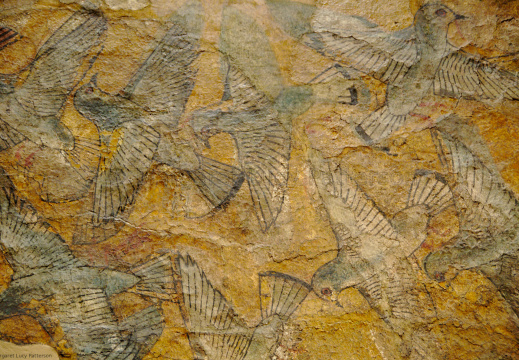 Ceiling Fragment from the Palace of Amenhotep III Depicting Pigeons in Flight