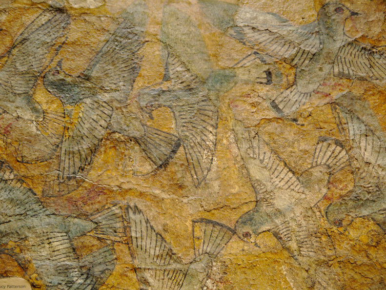 Ceiling Fragment from the Palace of Amenhotep III Depicting Pigeons in Flight