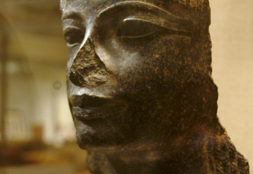 Head from a Life Size Statue of an Egyptian Official