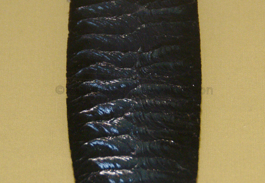 Obsidian Fishtail Blade