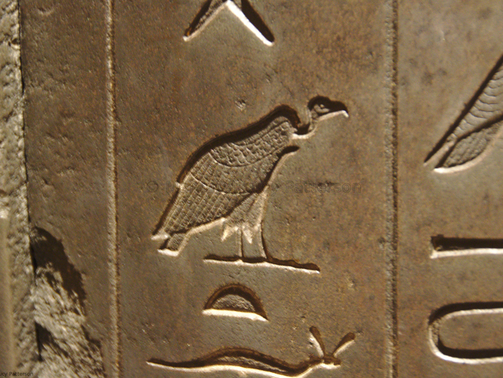 Vulture Hieroglyph on Sarcophagus of Harkhebi
