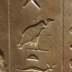 Vulture Hieroglyph on Sarcophagus of Harkhebi