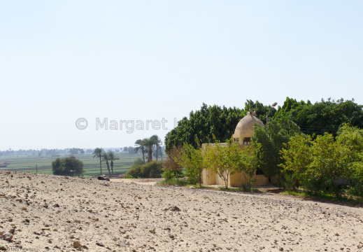 Looking from Desert to Cultivation