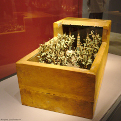 Model of a Porch and Garden