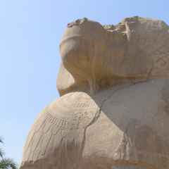 Baboon Sculpture at el-Ashmunein