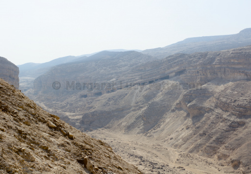 Looking Along the Wadi at Deir el-Bersha