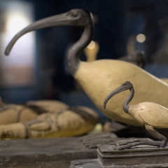 Ibis Statues
