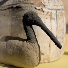 Mummy of an Ibis