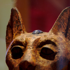 Wooden Statue of a Cat with a Scarab Beetle between Its Ears