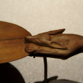 Wooden Spoon with a Jackal Handle