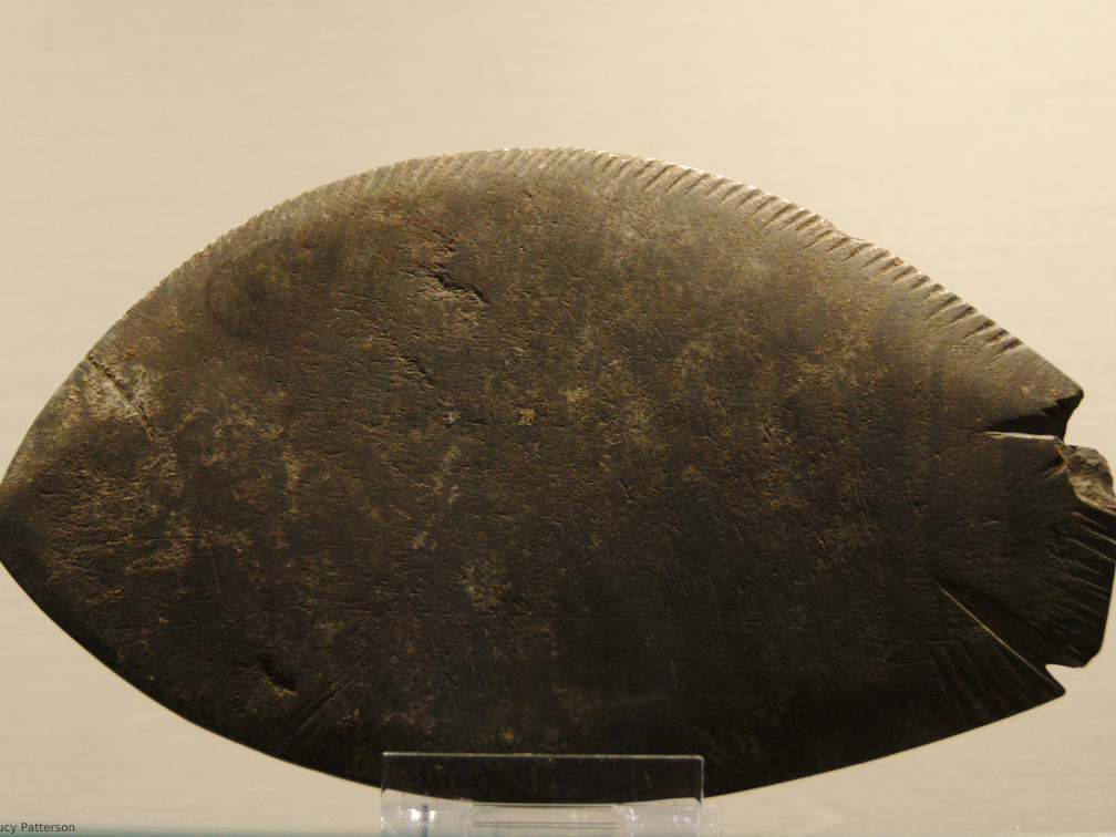 Palette in the Shape of a Fish