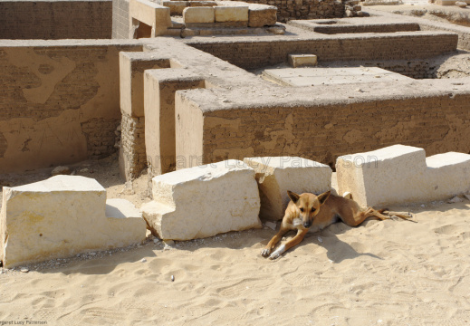 Reconstructed Architecture at the Step Pyramid Enclosure