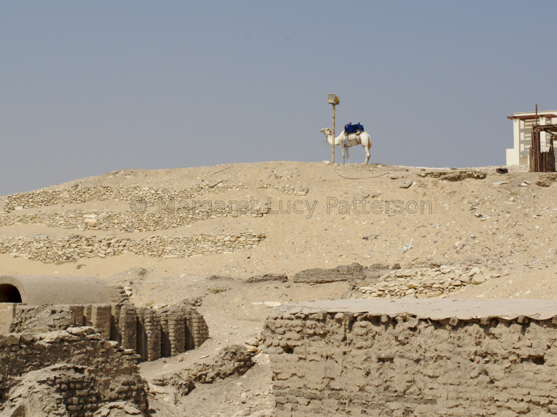 Camel and Guardpost
