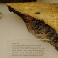 Fragment of a Writing Board
