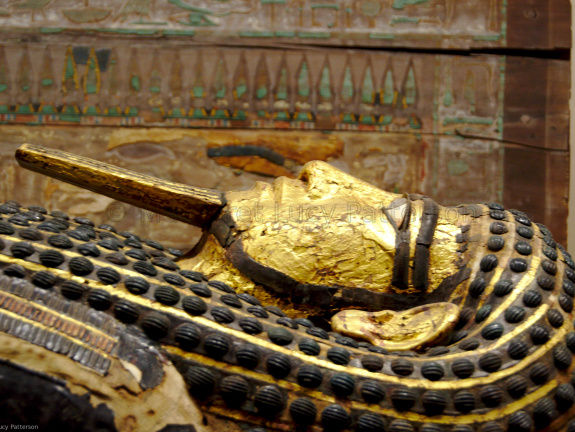 Inner Coffins of Hapyankhtifi