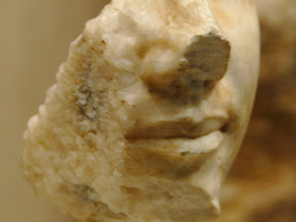 Fragmentary Face of Khafre