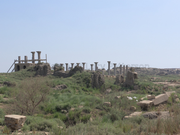 Columns at el Ashmunein