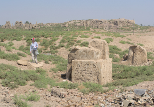 Inscriptions in the Landscape