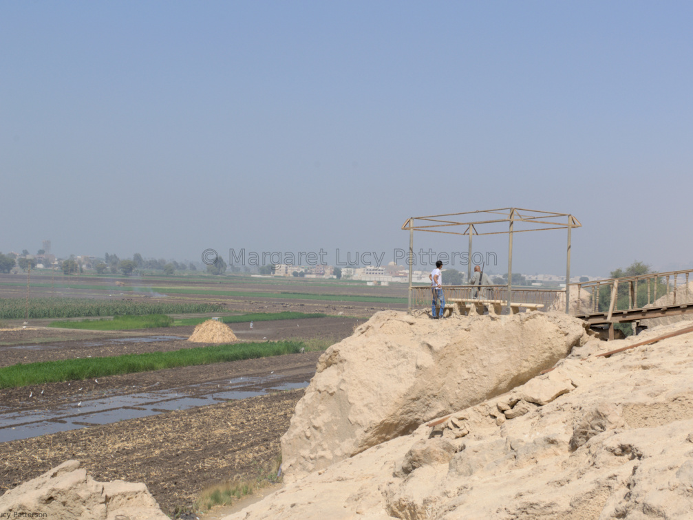 The View Across the Cultivation