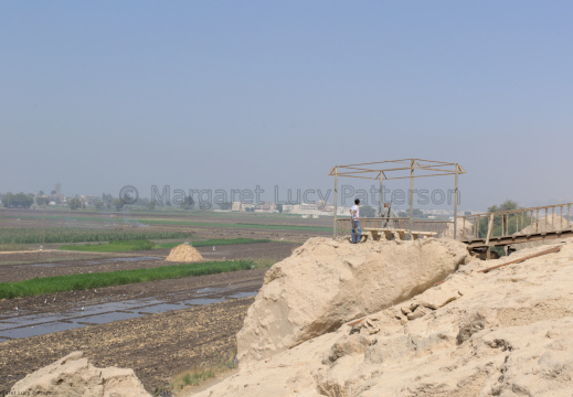The View Across the Cultivation
