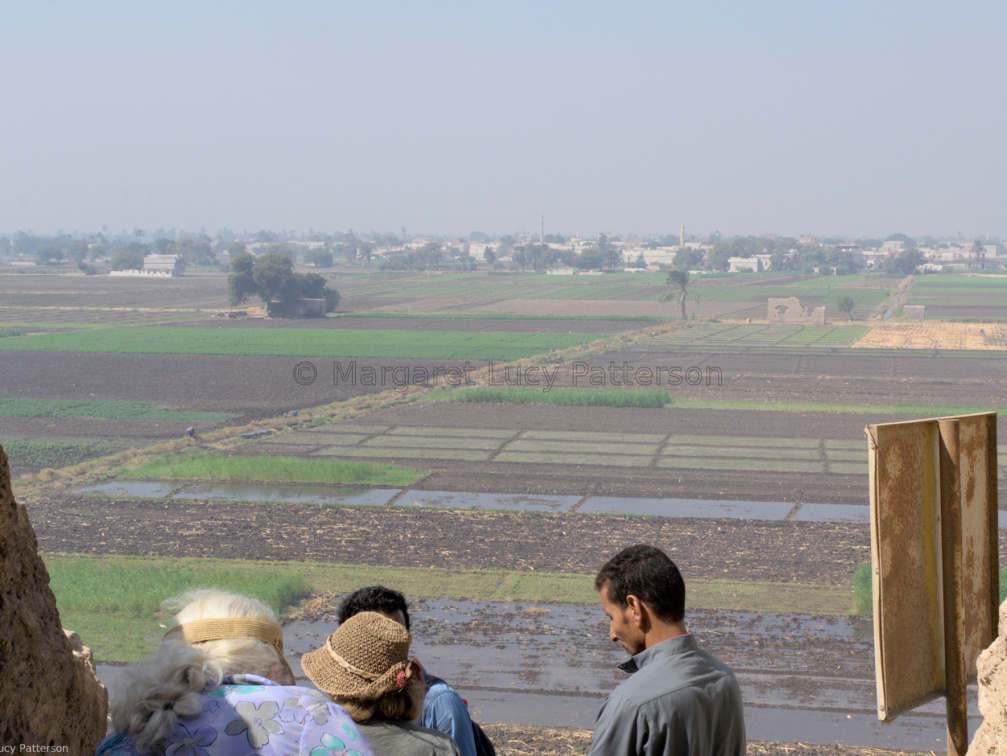 The View Across the Cultivation