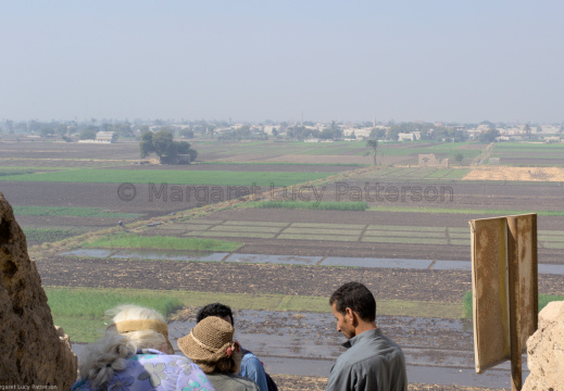 The View Across the Cultivation